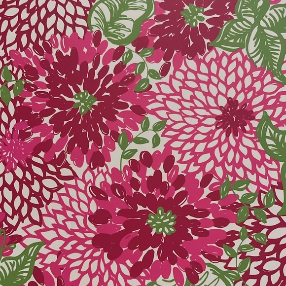 Lilly Pulitzer Magnetic Board with 4 magnets - Picture 3 of 16